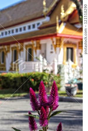 Thai Buddhist Temple Located in Tampa Florida 121518290