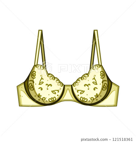 feminine bra lace cartoon vector illustration 121518361