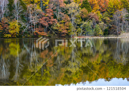 Lake Shirakaba in autumn [Hijiri Plateau] 121518504