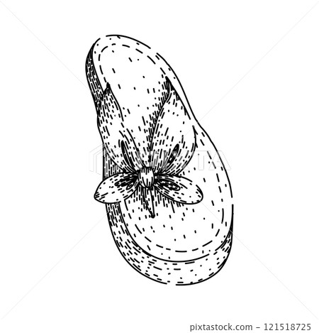 footwear flip flops sketch hand drawn vector 121518725