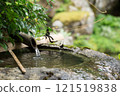 Scenery of Japanese garden 121519838