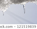cold winter snow icicles 121519839