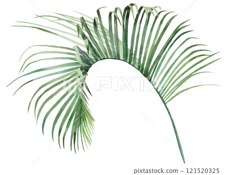 Watercolor green palm leaf isolated illustration, tropical exotic wedding element Watercolor green palm leaf isolated illustration, tropical exotic wedding element 121520325