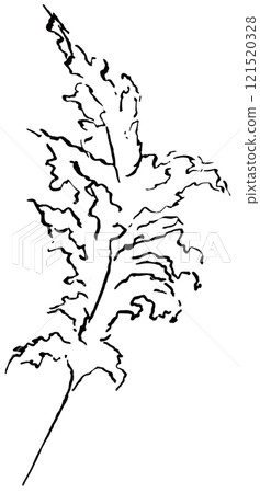 Hand drawn pampas grass, black outlines tropical wedding element, Bohemian isolated illustration 121520328