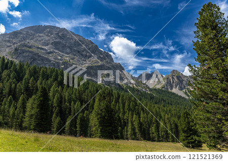 Stunning Dolomites 121521369