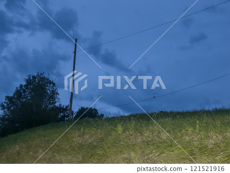 Electric pole with falcon posing 121521916
