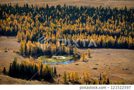 Scenic forest and lake in golden autumn landscape with distant pasture Scenic forest and lake in golden autumn landscape with distant pasture 121522597