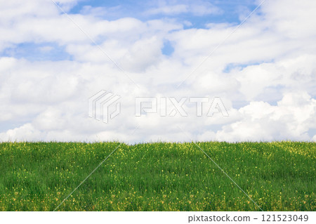 Natural background green field with flowers and blue sky with clouds. 121523049