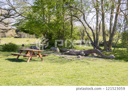 Summer park for outdoor activities with a bench and a large wooden crocodile. 121523059
