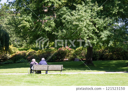 Two old people are sitting on benches in parks on a summer sunny day. 121523150