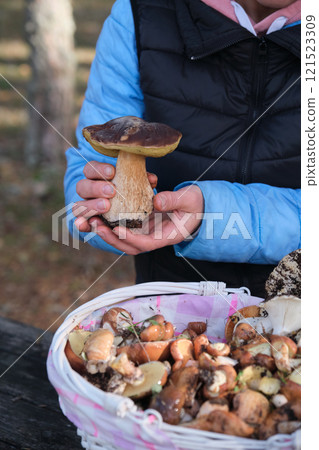 a girl with a basket of mushrooms 121523309