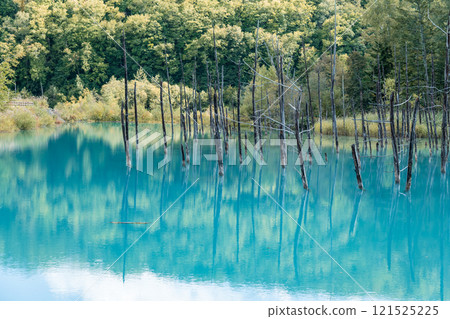 [Biei Town, Shirogane: Blue Pond and Water Mirror] 121525225