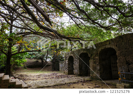 Banyan tree at Sogenji Temple 121525276