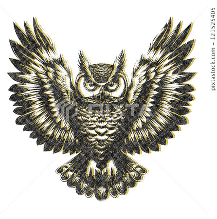Owl Illustration with Risograph Overprint and Retro Texture 121525405