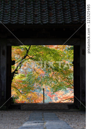 Autumn leaves at Kosenji Temple in Korankei Autumn leaves at Kosenji Temple in Korankei 121525495