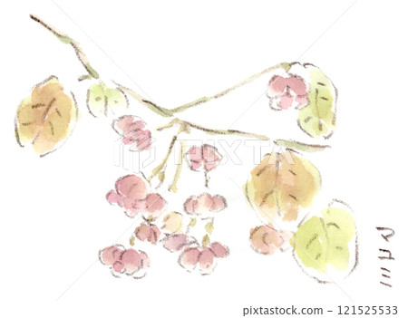 Watercolor illustration of autumn-winter plants, a small red drawstring bag, and mayumi fruit Watercolor illustration of autumn-winter plants, a small red drawstring bag, and mayumi fruit 121525533