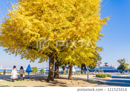 [神奈川縣] 橫濱港未來 - 山下公園的銀杏樹和美麗的秋葉 121525818