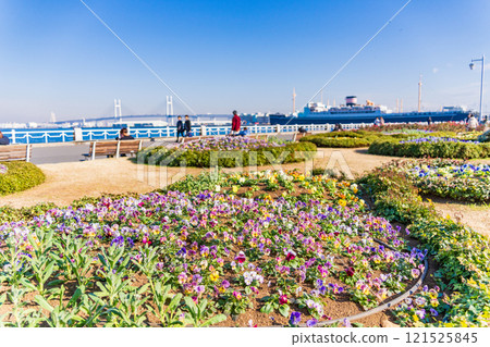 [Kanagawa Prefecture] Yokohama Minato Mirai, Yamashita Park in winter 121525845