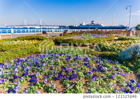[Kanagawa Prefecture] Yokohama Minato Mirai, Yamashita Park in winter 121525846