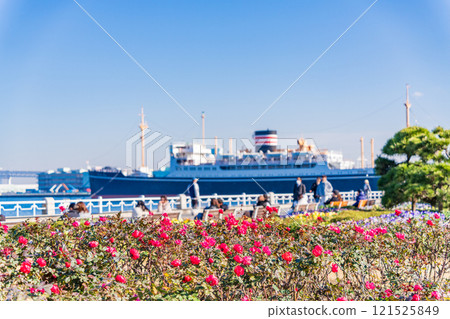 [神奈川縣] 冬季的橫濱港未來/山下公園 121525849