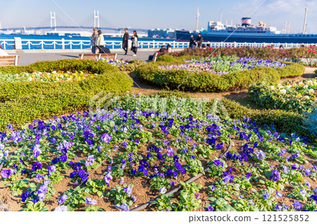 [Kanagawa Prefecture] Yokohama Minato Mirai, Yamashita Park in winter 121525852