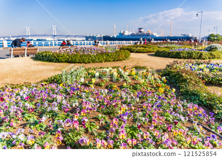 [Kanagawa Prefecture] Yokohama Minato Mirai, Yamashita Park in winter 121525854
