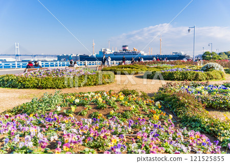 [Kanagawa Prefecture] Yokohama Minato Mirai, Yamashita Park in winter 121525855
