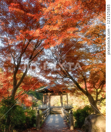 成田山新勝寺的秋葉高峰 121525885
