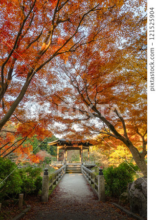 成田山新勝寺的秋葉高峰 成田山新勝寺的秋葉高峰 121525904