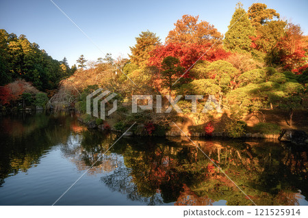 Naritasan Shinshoji Temple at the peak of autumn foliage 121525914
