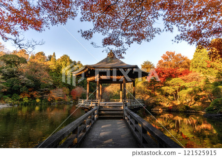Naritasan Shinshoji Temple at the peak of autumn foliage Naritasan Shinshoji Temple at the peak of autumn foliage 121525915