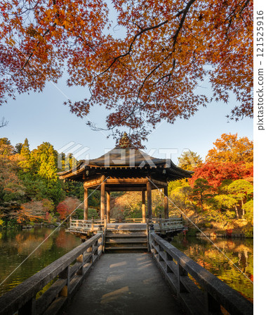 Naritasan Shinshoji Temple at the peak of autumn foliage 121525916