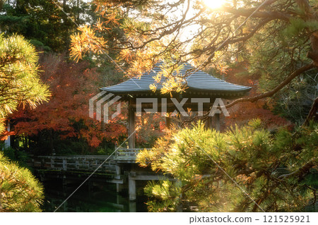 Naritasan Shinshoji Temple at the peak of autumn foliage Naritasan Shinshoji Temple at the peak of autumn foliage 121525921