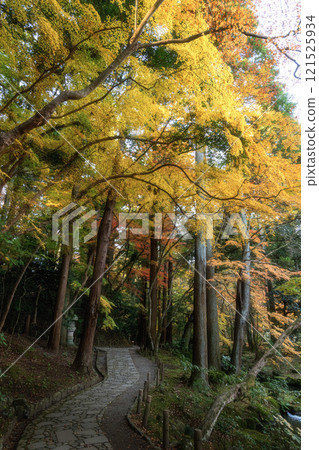 成田山新勝寺的秋葉高峰 121525934