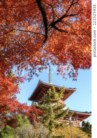 Naritasan Shinshoji Temple at the peak of autumn foliage Naritasan Shinshoji Temple at the peak of autumn foliage 121525938