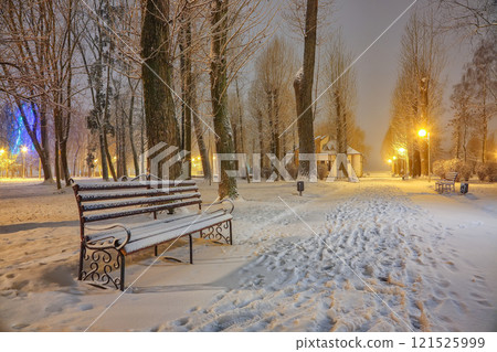Fantastic view of winter park with benches covered with snow in the evening. 121525999