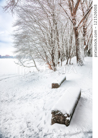 Amazing view of winter road in the forest. Amazing view of winter road in the forest. 121526008