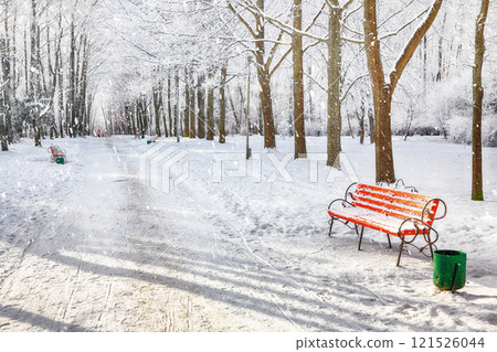 Majestic view of park bench and trees covered by heavy snow. Majestic view of park bench and trees covered by heavy snow. 121526044