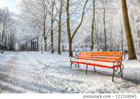 Incredible view of park bench and trees covered by heavy snow. Incredible view of park bench and trees covered by heavy snow. 121526045