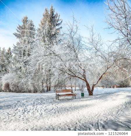 Majestic view of park bench and trees covered by heavy snow. 121526064