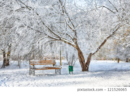 Majestic view of park bench and trees covered by heavy snow. 121526065