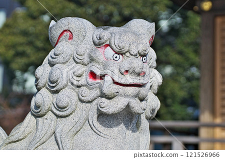 八坂神社的守護犬（平塚市田村）（冬季、12月） 121526966