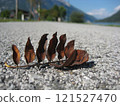 dead leaves fallen on the road 121527470