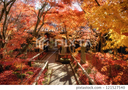 千葉縣松山庭園美術館的秋葉 121527540