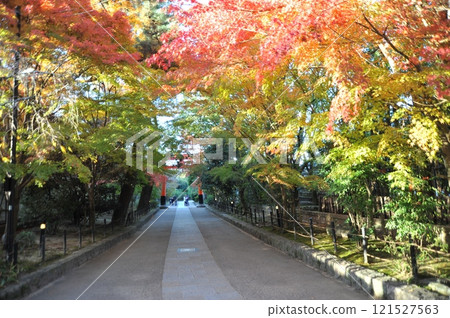 宇治上神社參拜 2024 121527563