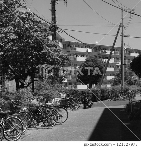 Summer in the Housing Complex - Monochrome 121527975