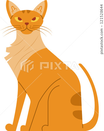 Orange cat with light fur on its chest sitting and staring with an intense gaze, creating a charming and playful atmosphere in a simple flat vector illustration Orange cat with light fur on its chest sitting and staring with an intense gaze, creating a charming and playful atmosphere in a simple flat vector illustration 121528644