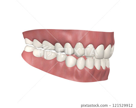 Teeth, Tooth structure, Human body, Illustration, Realistic CG, Diagonal 45 121529912