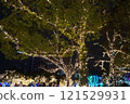 The festive atmosphere of the Fukuoka Christmas Market! Winter lights and delicious food 121529931