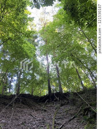 Nature is approaching Nature is approaching 121530187